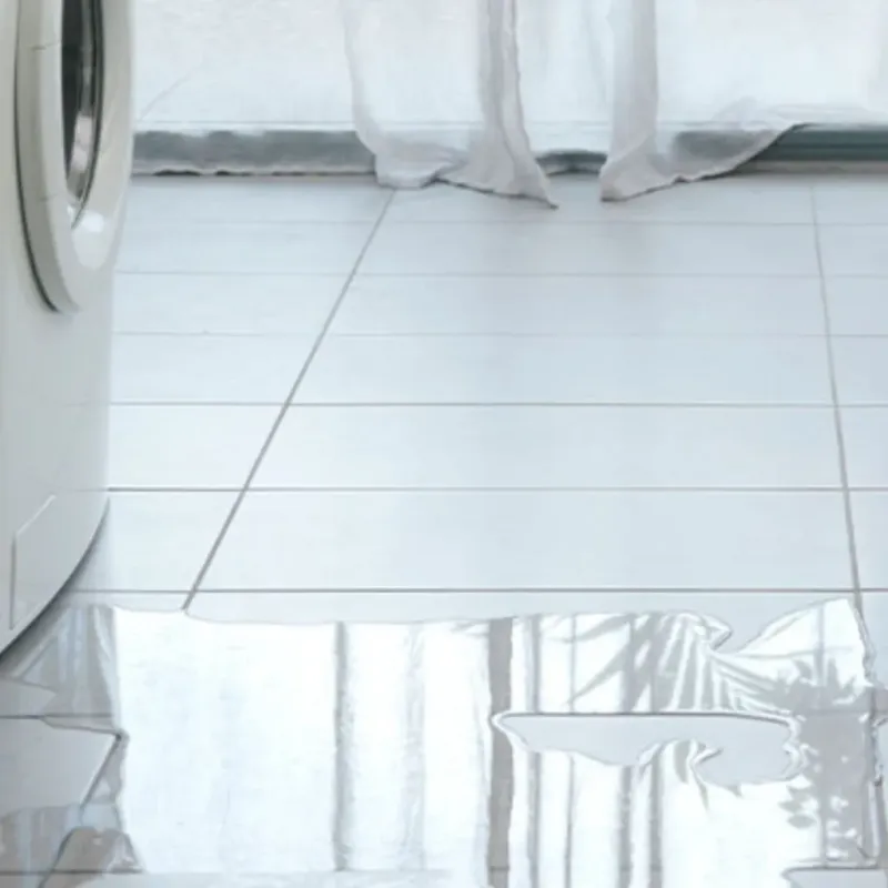 Appliance Leak Cleanup in Androscoggin County, ME