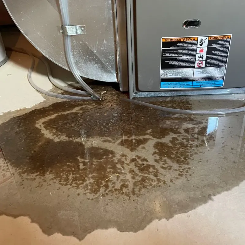 Pipe Burst and Leak Restoration in Androscoggin County, ME