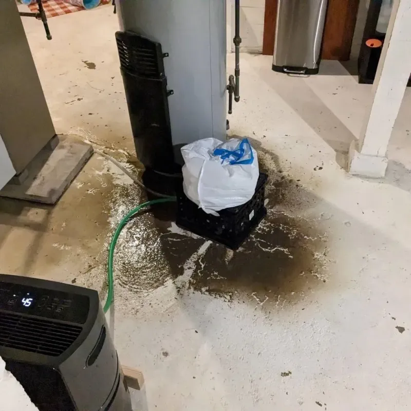 Sewage Backup Cleanup Service in Androscoggin County, ME